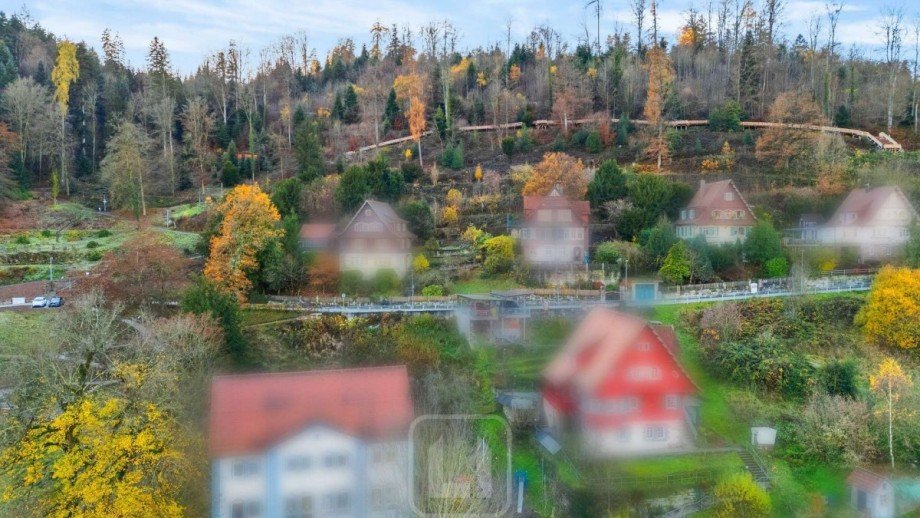 Panormablick ins Gr�ne Wohngrundst�ck Calw