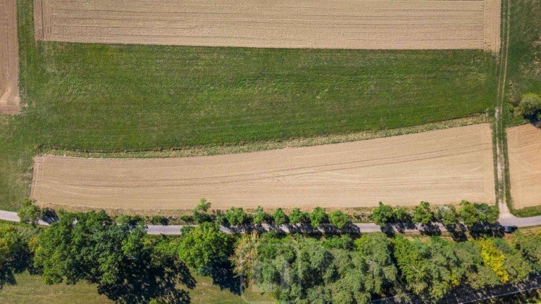 Blick auf die Nutzfl�che Calw Land- / Forstwirtschaft - Grdst. 2 Landwirtschaftliche Nutzfl�chen | Gemarkung Holzbronn | langfristiges Potenzial
