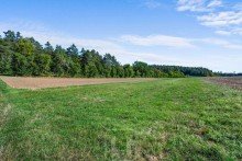 Feldansicht 2 Landwirtschaftliche Nutzfl�chen | Gemarkung Holzbronn | langfristiges Potenzial