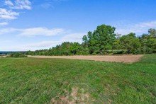 Blick entlang der Nutzfl�che 2 Landwirtschaftliche Nutzfl�chen | Gemarkung Holzbronn | langfristiges Potenzial