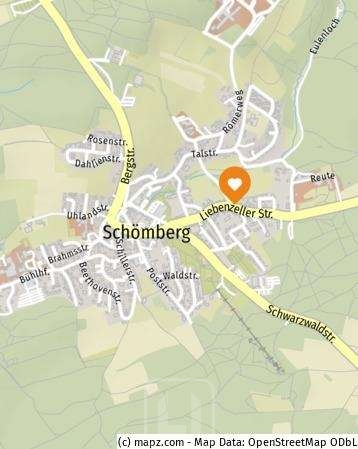 Mikroansicht Wohngrundst�ck Sch�mberg