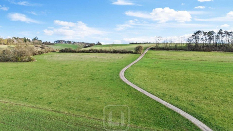 Blick ins Gr�ne Wohngrundst�ck Weil der Stadt